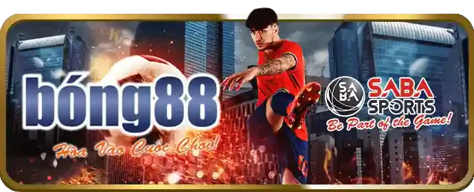 Nhanh chóng và hiệu quả
