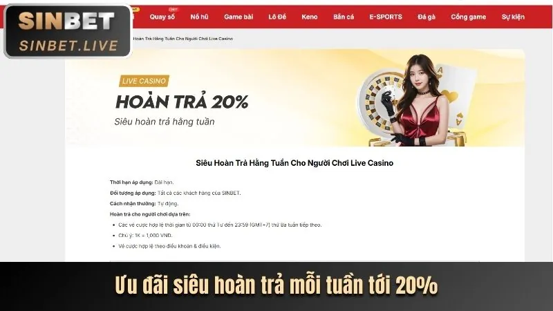 Vibet Mobile App